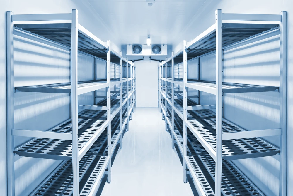 Intérieur d'une chambre froide industrielle avec allées centrales et rayonnages métalliques à plusieurs niveaux